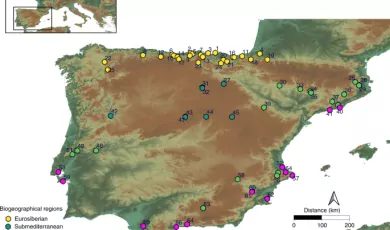 Ecosystem productivity affected the spatiotemporal disappearance of Neanderthals in Iberia